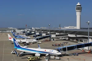 Yaponiyada hava limanında maraqlı hadisə: uçuşlar elə bir səbəbdən ləğv edildi ki… – VİDEO