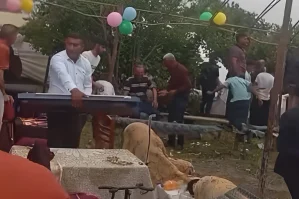 Qəbələdə güclü külək toy mağarını uçurdu - VİDEO