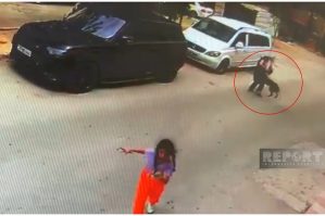 Küçə iti nənə və nəvəyə hücum etdi: biri xəstəxanalıq oldu - VİDEO