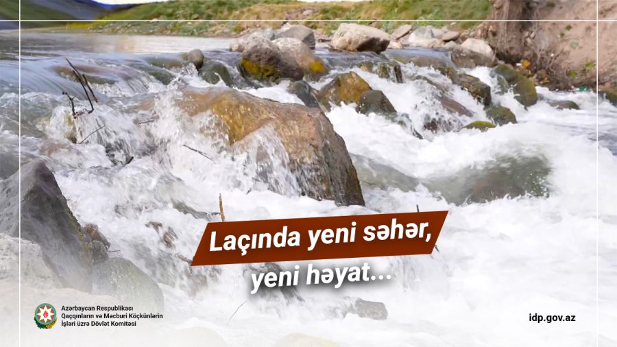 lacinyeniheyat