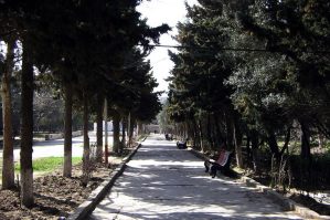 Bakının məşhur parkı can verir: Araşdırma başladı - VİDEO