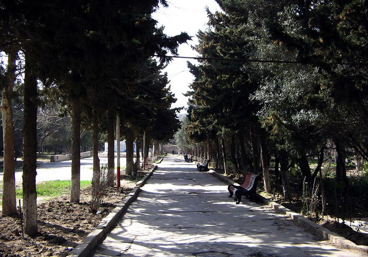 Bakının məşhur parkı can verir: Araşdırma başladı - VİDEO