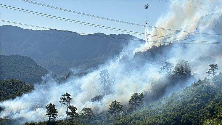 Türkiyədə meşə yanğınları başladı - FOTO