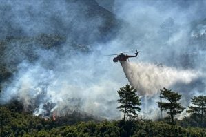 Türkiyədə meşə yanğınları başladı - FOTO