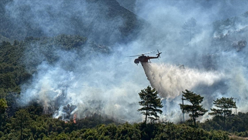 Türkiyədə meşə yanğınları başladı - FOTO