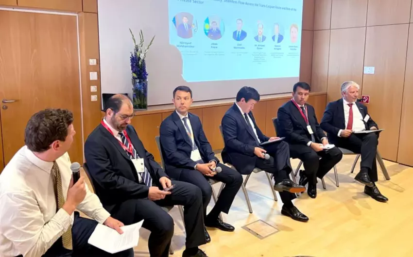 ADY sədrinin müşaviri Münhendə Orta Dəhliz üzrə görülən işlərdən danışdı - FOTO