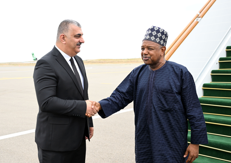 Bu ölkələrin rəsmiləri də Azərbaycana gəldi - FOTO