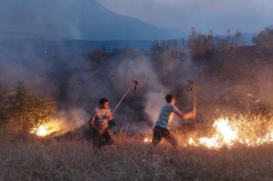 Qarabağda silsilə yanğınlar: qəsdən edilir, yoxsa... - İnanılmaz detallar