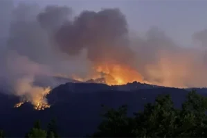 Şəkidə dağlıq ərazidə yanğın