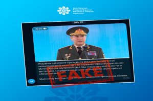 fake 1