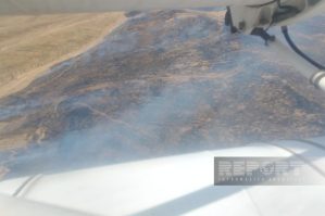 Talış və Tapqaraqoyunlu istiqamətində yanğınlar meşəyə keçdi - VİDEO