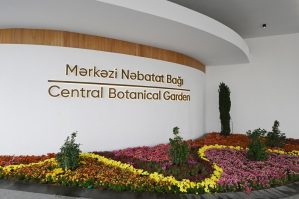 mnb