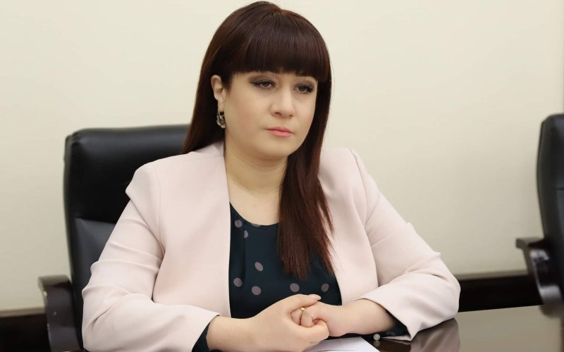 "Bu məsələni heç bir üçüncü tərəflə müzakirə etməmişik" - Baqdasaryan