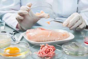 Onların qida normaları yenidən müəyyən ediləcək