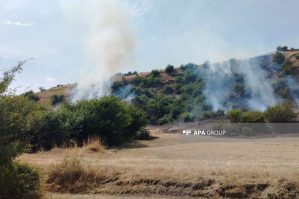 Lerikdə biçilmiş taxıl sahəsi yanır - FOTO