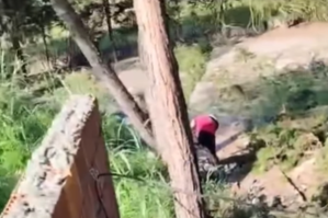 Bu görüntülərlə bağlı cinayət işi açıldı - VİDEO