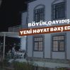 tyi