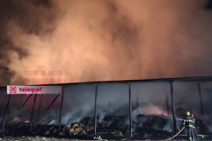 Lənkəranda ferma yandı