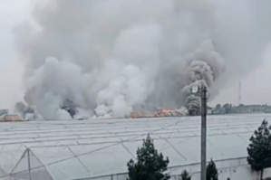 Binədə istixana yanır