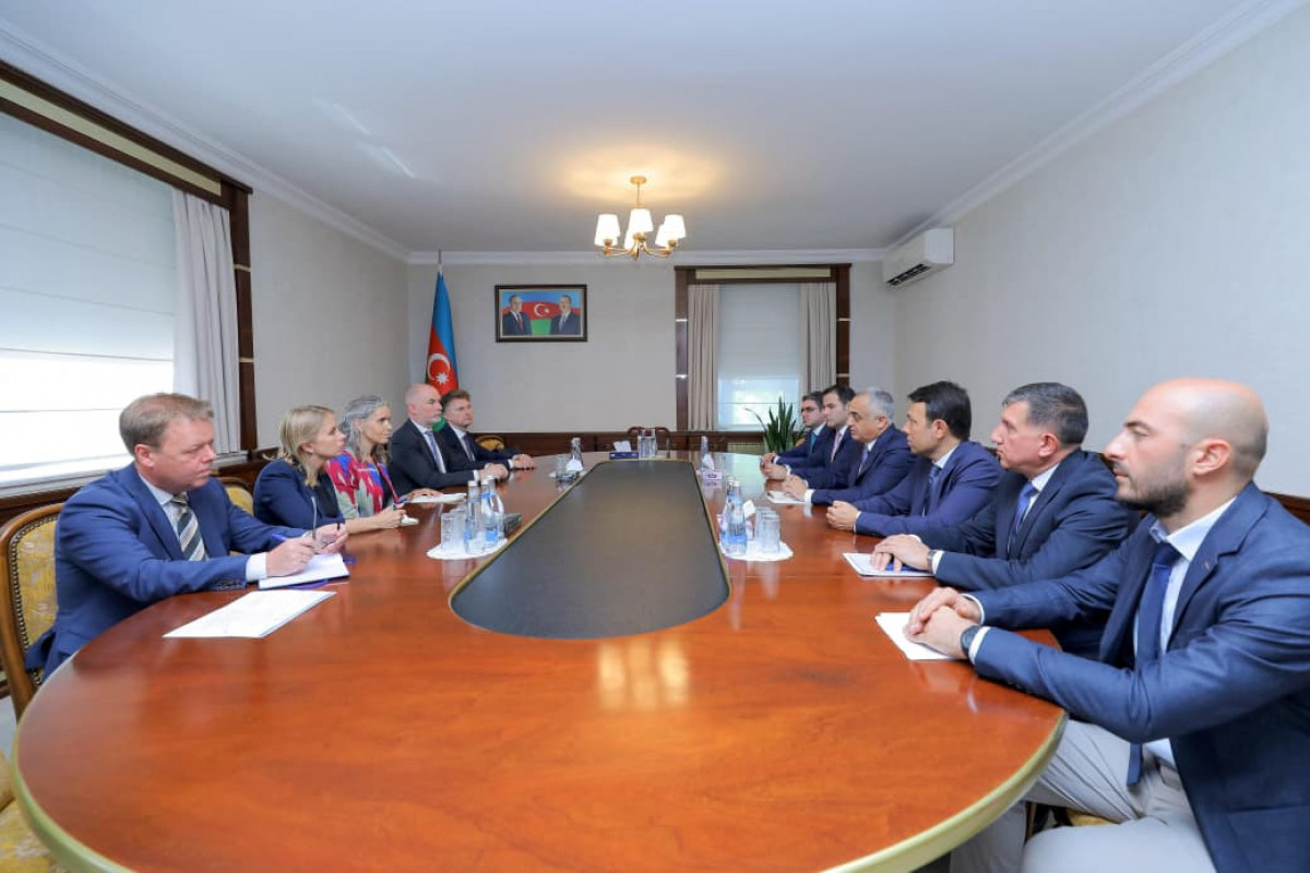 Aİ-nin xüsusi nümayəndəsi Naxçıvanda