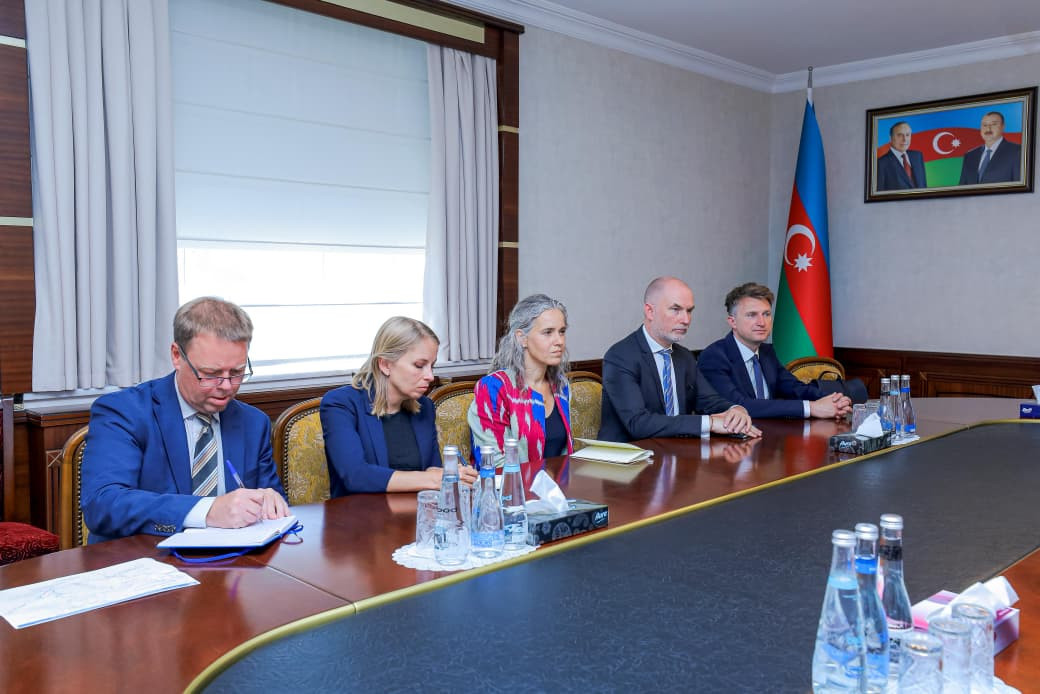 Aİ-nin xüsusi nümayəndəsi Naxçıvanda