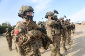 Türk ordusu Ukraynaya daxil ola və bu əməliyyatda iştirak edə bilər...