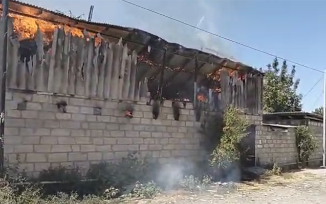 Ağcabədidə yanğın: heyvanlar tələf oldu, qadın xəsarət aldı