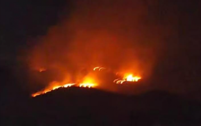 Suqovuşanda meşədə güclü yanğın başladı - FOTO