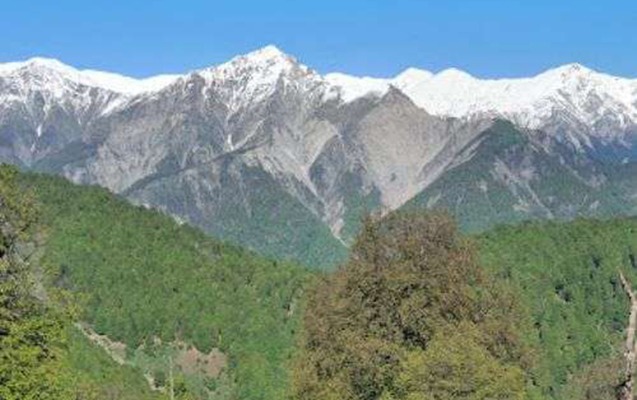 Qəbələdə dağlıq ərazidə köməksiz qalan qadın xilas edildi