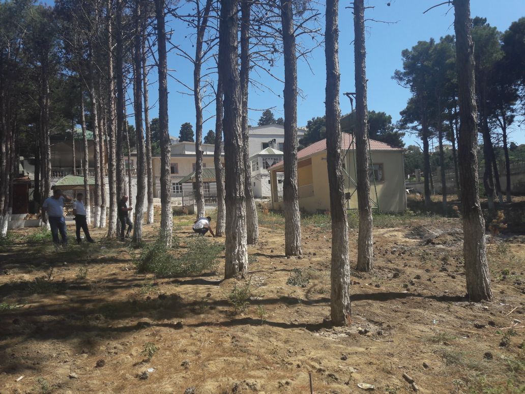 İki rayonda təbiətə 18 min manatdan çox ziyan vuruldu