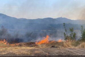 Cəlilabadda yanğın törədən şəxs məsuliyyətə cəlb edildi