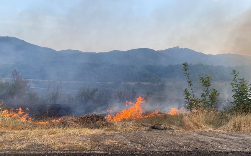 Cəlilabadda yanğın törədən şəxs məsuliyyətə cəlb edildi