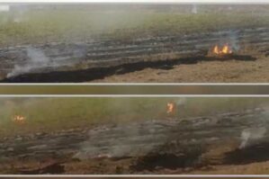 Cəlilabadda yanğın törədən şəxslər məsuliyyətə cəlb olundu