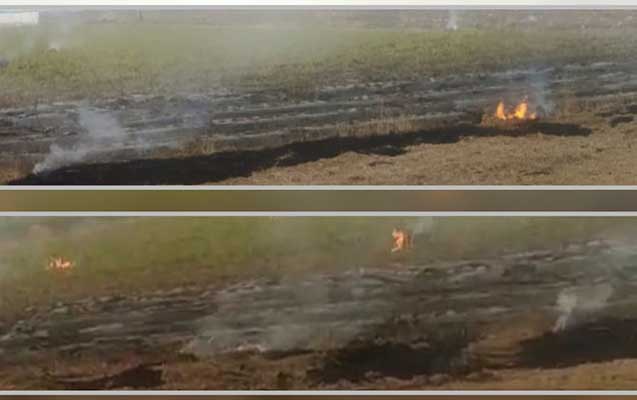 Cəlilabadda yanğın törədən şəxslər məsuliyyətə cəlb olundu