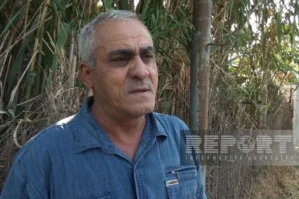 Qonşu: "Xəstə olduqları üçün gecələr mütəmadi qışqırırdılar"