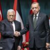 erdogan 9