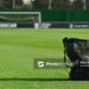 futbol