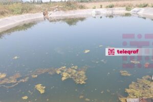 18 yaşlı gənc faciəvi şəkildə öldü