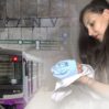 metro ana