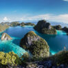 papua 1