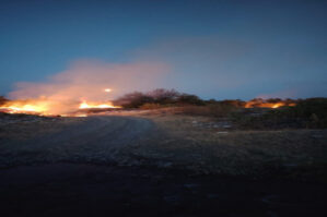 Qəbələdə yanğın törədən şəxslər yeniyetmələr imiş