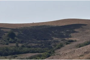 Şamaxıda yanğın törədən şəxs məsuliyyətə cəlb olundu