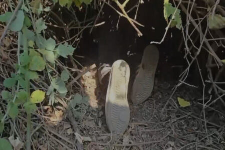 Related