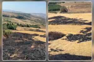 Şamaxıda yanğın törədən şəxs məsuliyyətə cəlb olundu