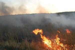 Samuxda açıq ərazi yanır