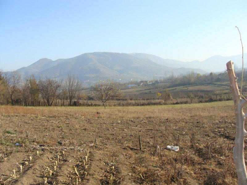 Yüzlərlə hektar ərazi bu səbəbdən becərilmir - VİDEO 1 Yüzlərlə hektar ərazi bu səbəbdən becərilmir - VİDEO