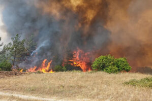 Dağlıq ərazidə yanğın baş verdi
