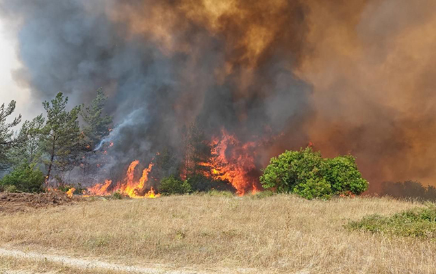 Dağlıq ərazidə yanğın baş verdi