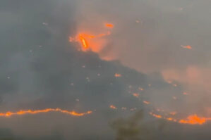 Zəngilanda yanğın törədən şəxs müəyyən edildi - FOTOLAR