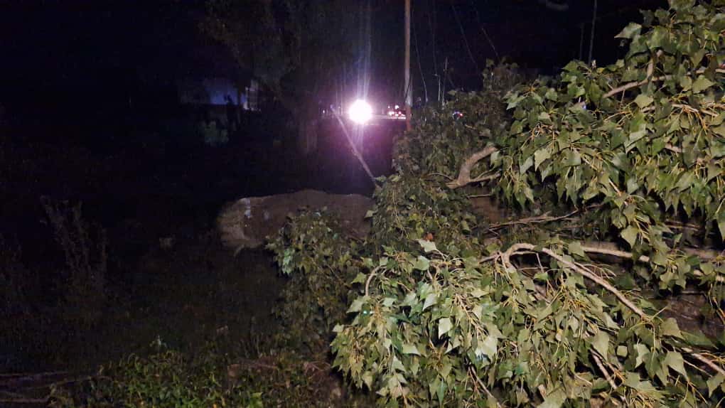 Lənkəranda güclü külək fəsadlar törədib – FOTOLAR